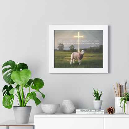 Lamb Framed Horizontal Poster