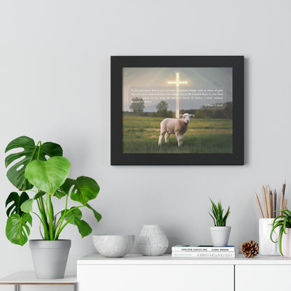 Lamb Framed Horizontal Poster